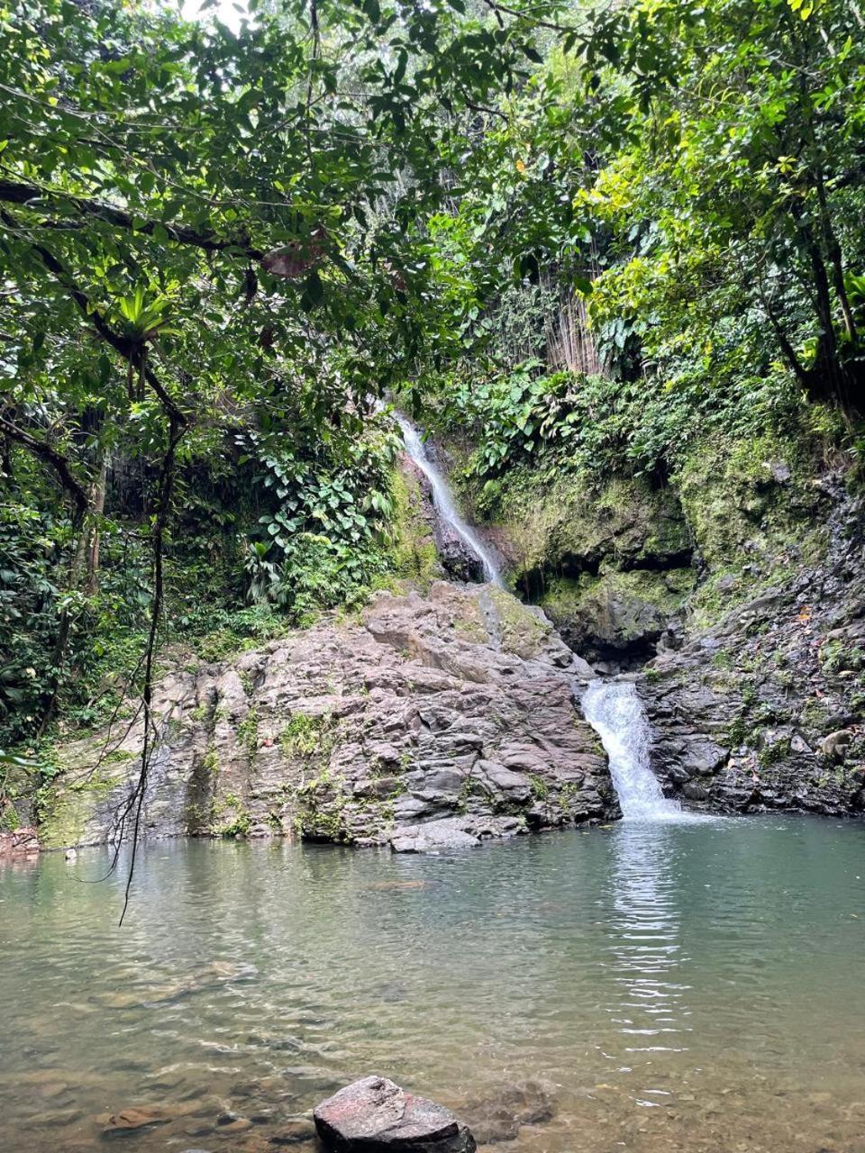Villa Barthelemy Goyave المظهر الخارجي الصورة